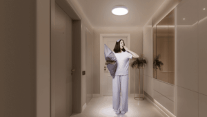 Xiaomi Smart Ceiling Light D20