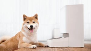 Xiaomi Smart Pet Food Feeder EU